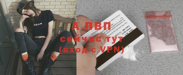 спиды Абаза
