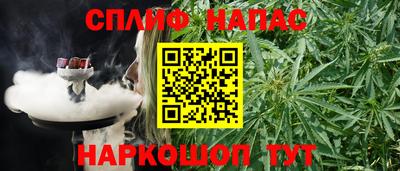 СК Гусь-Хрустальный