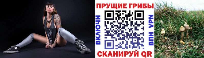 Псилоцибиновые грибы мухоморы  Торжок 