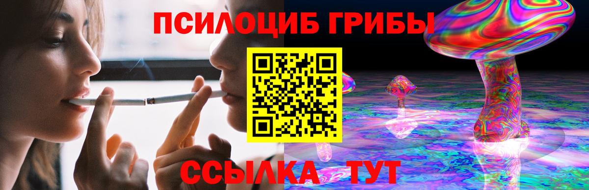 Псилоцибиновые грибы мицелий  Псилоцибиновые грибы Cubensis  Торжок  Вход с VPN 