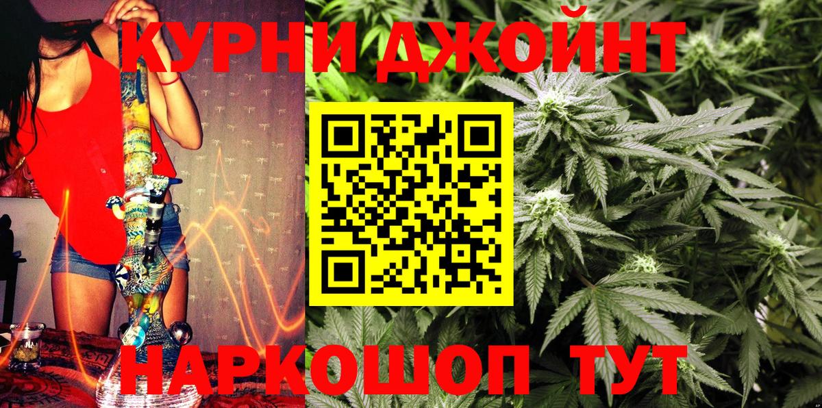 Бошки Шишки сатива Торжок